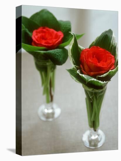 Red Roses in Glass Vases-Michael Paul-Stretched Canvas