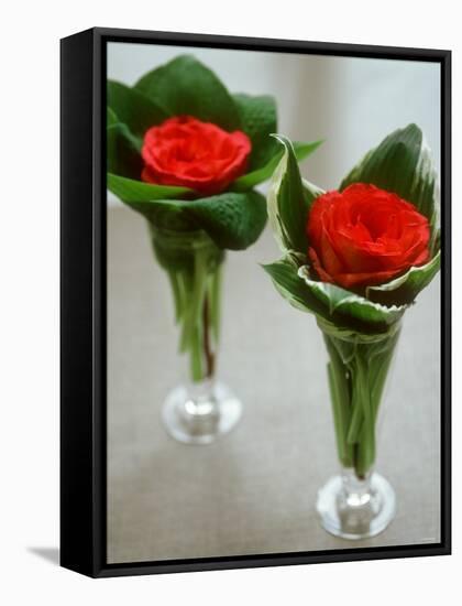 Red Roses in Glass Vases-Michael Paul-Framed Stretched Canvas