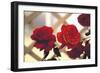 Red Roses on Lattice-FS Studio-Framed Giclee Print