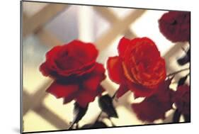 Red Roses on Lattice-FS Studio-Mounted Giclee Print