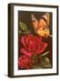 Red Roses with Yellow Swallowtail Butterfly-null-Framed Art Print