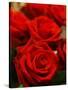 Red roses-null-Stretched Canvas