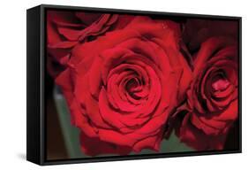 Red Roses-Erin Berzel-Framed Stretched Canvas