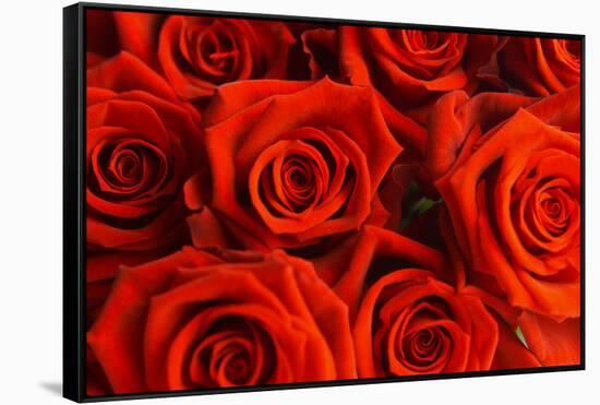 Red Roses-null-Framed Stretched Canvas