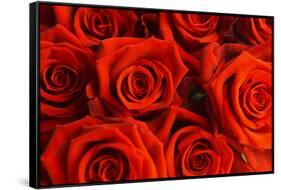 Red Roses-null-Framed Stretched Canvas