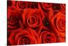 Red Roses-null-Stretched Canvas