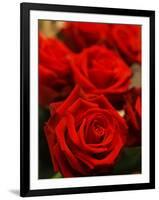 Red roses-null-Framed Photographic Print