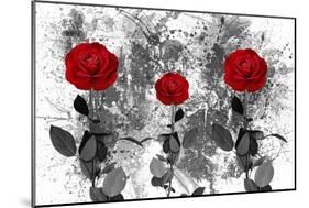 Red Roses-Ata Alishahi-Mounted Giclee Print