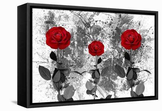 Red Roses-Ata Alishahi-Framed Stretched Canvas