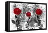 Red Roses-Ata Alishahi-Framed Stretched Canvas