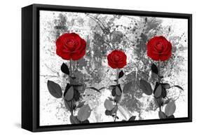 Red Roses-Ata Alishahi-Framed Stretched Canvas