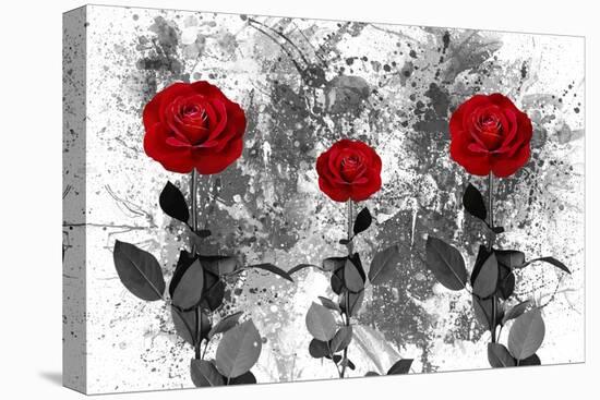 Red Roses-Ata Alishahi-Stretched Canvas