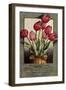 Red Roses-Vintage Apple Collection-Framed Giclee Print