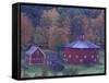 Red Round Barn in Autumn, East Barnet, Vermont, USA-Darrell Gulin-Framed Stretched Canvas