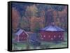 Red Round Barn in Autumn, East Barnet, Vermont, USA-Darrell Gulin-Framed Stretched Canvas