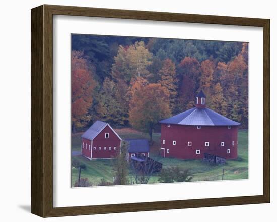 Red Round Barn in Autumn, East Barnet, Vermont, USA-Darrell Gulin-Framed Photographic Print