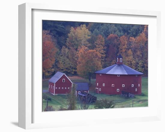 Red Round Barn in Autumn, East Barnet, Vermont, USA-Darrell Gulin-Framed Photographic Print