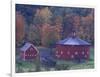 Red Round Barn in Autumn, East Barnet, Vermont, USA-Darrell Gulin-Framed Photographic Print