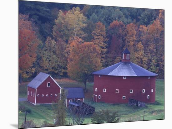 Red Round Barn in Autumn, East Barnet, Vermont, USA-Darrell Gulin-Mounted Photographic Print