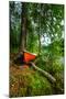 Red Row Boat in the forest, Hogland Island, Finland-null-Mounted Photographic Print