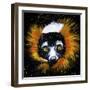 Red Ruffed Lemur-null-Framed Art Print