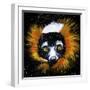 Red Ruffed Lemur-null-Framed Art Print