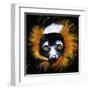 Red Ruffed Lemur-null-Framed Art Print