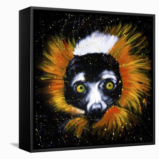 Red Ruffed Lemur-null-Framed Stretched Canvas