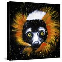 Red Ruffed Lemur-null-Stretched Canvas