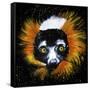 Red Ruffed Lemur-null-Framed Stretched Canvas