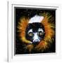 Red Ruffed Lemur-null-Framed Art Print