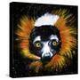 Red Ruffed Lemur-null-Stretched Canvas