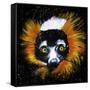 Red Ruffed Lemur-null-Framed Stretched Canvas