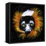 Red Ruffed Lemur-null-Framed Stretched Canvas