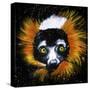 Red Ruffed Lemur-null-Stretched Canvas
