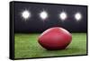 Red Rugby Ball-AndreyPopov-Framed Stretched Canvas
