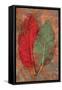 Red Rumex-Den Reader-Framed Stretched Canvas