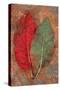 Red Rumex-Den Reader-Stretched Canvas