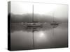 Red Sail - BW-Tammy Putman-Stretched Canvas