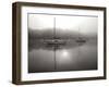 Red Sail - BW-Tammy Putman-Framed Photographic Print