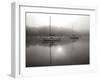 Red Sail - BW-Tammy Putman-Framed Photographic Print