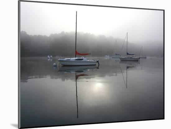 Red Sail-Tammy Putman-Mounted Photographic Print