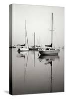 Red Sailboat I - BW-Tammy Putman-Stretched Canvas