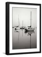 Red Sailboat I - BW-Tammy Putman-Framed Photographic Print