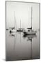 Red Sailboat I - BW-Tammy Putman-Mounted Photographic Print