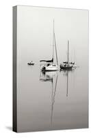 Red Sailboat II - BW-Tammy Putman-Stretched Canvas