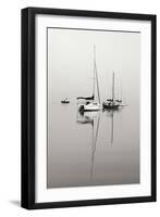 Red Sailboat II - BW-Tammy Putman-Framed Photographic Print