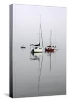 Red Sailboat II-Tammy Putman-Stretched Canvas