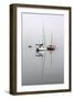 Red Sailboat II-Tammy Putman-Framed Photographic Print