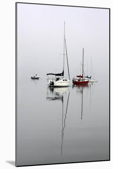Red Sailboat II-Tammy Putman-Mounted Photographic Print